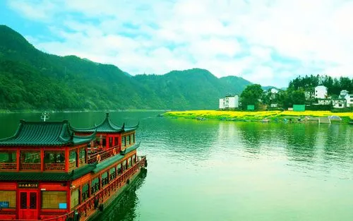 独特网络化